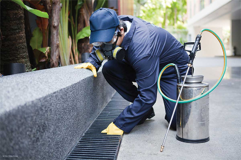 How To Hire A Pest Control Agency
