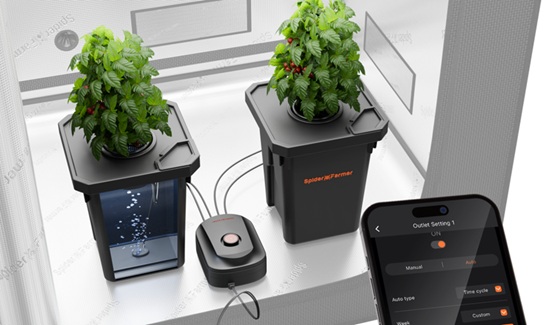 From Barren to Bountiful: Unlocking the Power of DWC Hydroponics in Grow Tents for Thriving Soil-Free Gardens