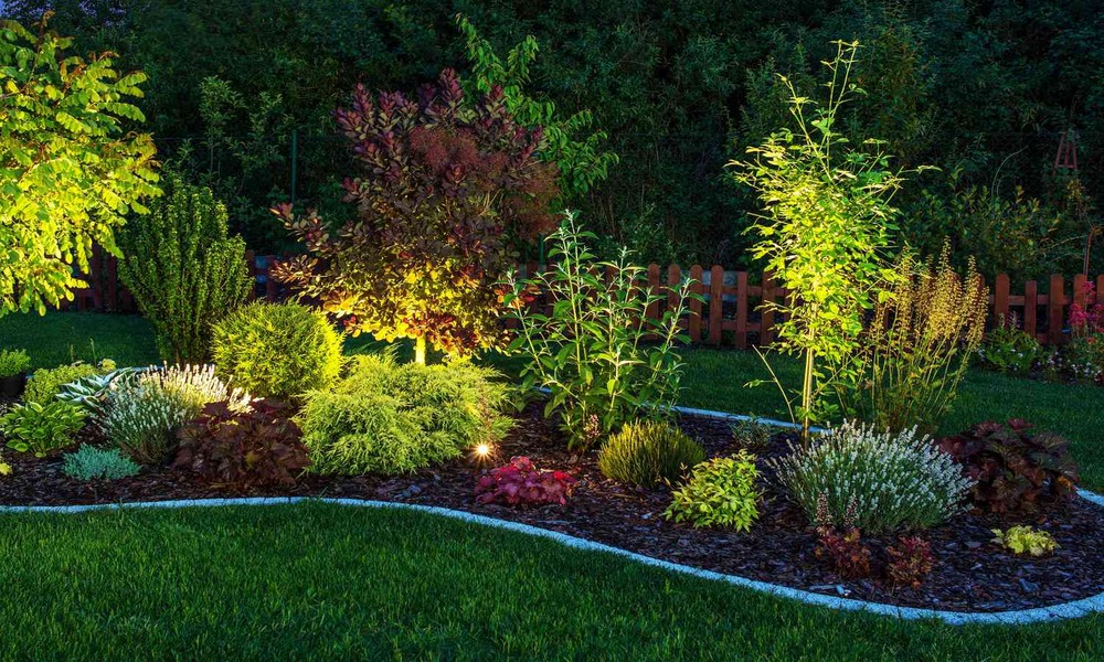 Modern Backyard Lighting Trends That Instantly Elevate Your Landscape
