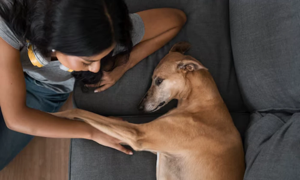 Manage Ticks: Essential Tips for Protecting Your Family and Pets